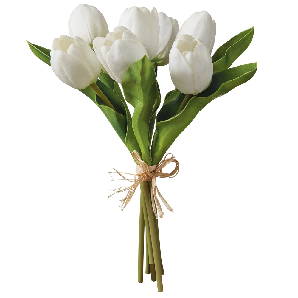 White Tulip Bundle