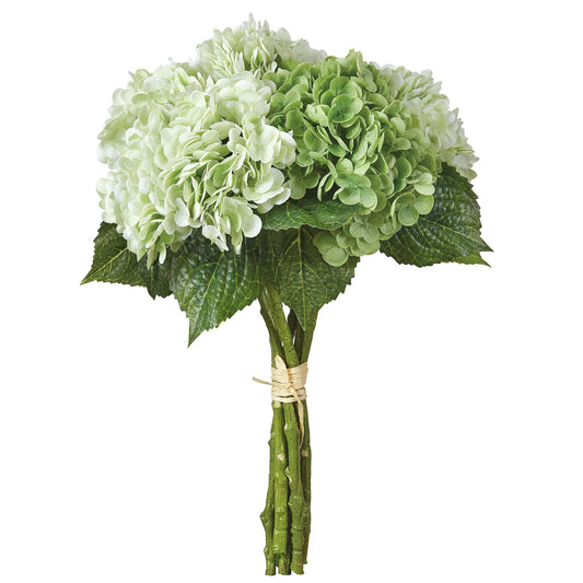 Hydrangea Bundle