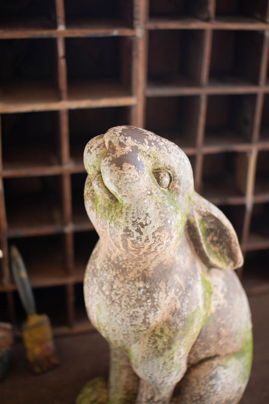 Rustic Rabbit with Head Up