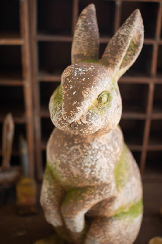 Rustic Rabbit with Head Forward