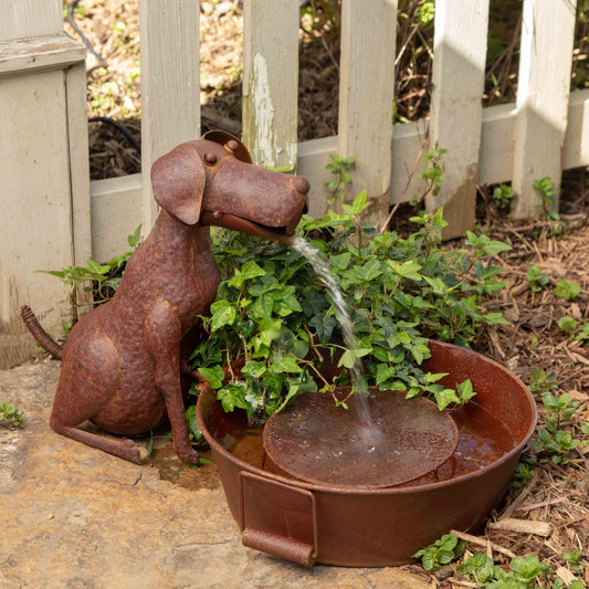 Best Friend Fountain