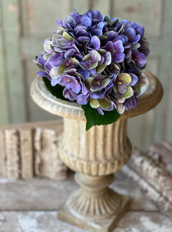 Cameo Hydrangea | 22" | Violet