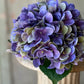 Cameo Hydrangea | 22" | Violet