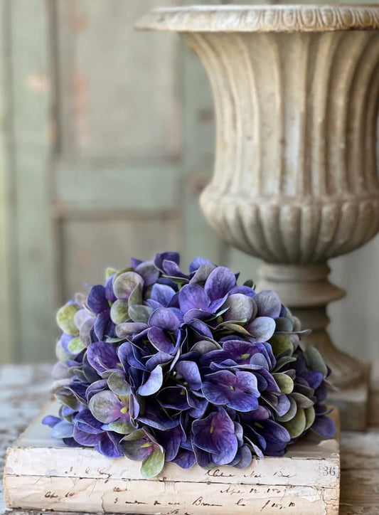 Cameo Hydrangea | 22" | Violet