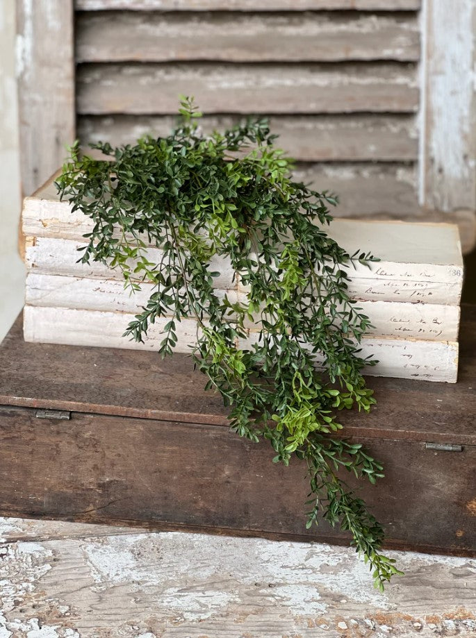 New England Boxwood Hanging | 32.5"