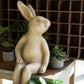 Faux Concrete Rabbit Shelf Sitter