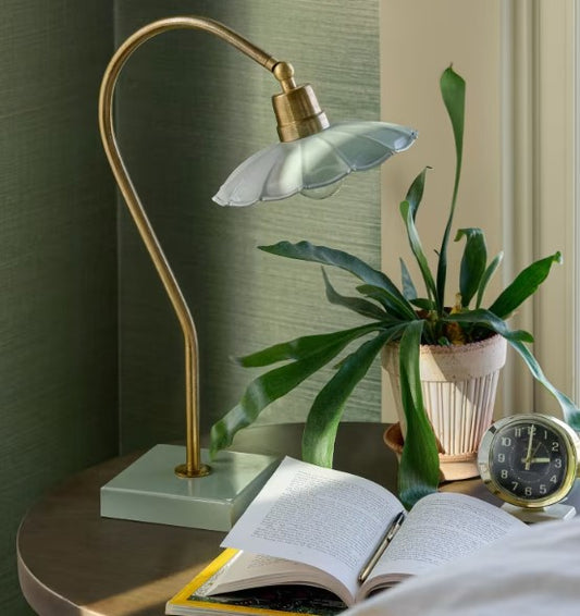 Antique Brass Goose Neck Table Lamp with Enamel Shade