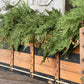 North Rim Hemlock Garland | 6'