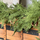 North Rim Hemlock Garland | 6'