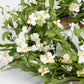 WHITE DAISY WREATH - 22 INCH