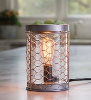 Chicken Wire Edison Bulb Illumination - River Chic Designs