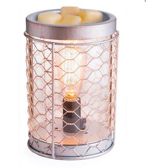 Chicken Wire Edison Bulb Illumination - River Chic Designs