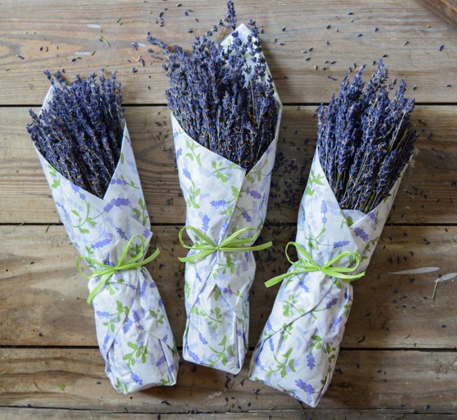 LAVENDER IN TISSUE - LAVENDER FIELDS DESIGN - River Chic Designs